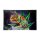 Syndicate Mischschale Glas versch Motive large cloud 9 Chameleon