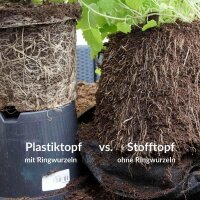 Anzucht Töpfe | 1 Liter | Root Pouch