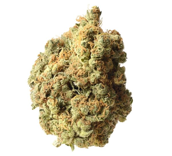 Amsterdam Genetics - AK020 (5 seeds pack)