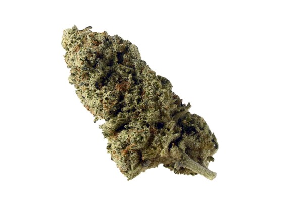 Amsterdam Genetics - Green Magic (5 seeds pack)