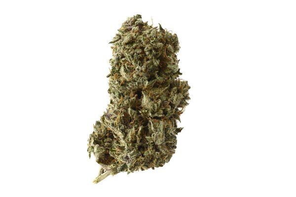 Amsterdam Genetics - Kosher Tangie Kush (5 seeds pack)
