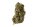 Amsterdam Genetics - Kosher Tangie Kush (5 seeds pack)