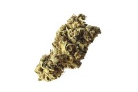 Amsterdam Genetics - Pineapple Kush (5 seeds pack)
