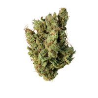 Amsterdam Genetics - Super Silver Haze Feminized (5 seeds...