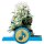 Royal Queen Seeds Samen CBD Dance World feminisiert (3 Samen)