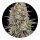 Barneys Farm Samen Sour Strawberry feminisiert - 3 Seeds