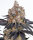 Barneys Farm Gelato - 3 Seeds
