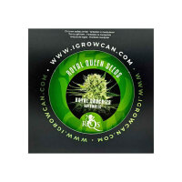 Royal Queen Seeds Royal Cookies IGrowCan Growing Kit