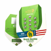 Royal Queen Seeds Samen Royal Gorilla Auto (3 Samen)