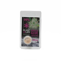 Plant of Life CBD Terpsolator Gorilla Glue 1000mg