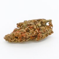 10-OH-HHC Blüten 2g