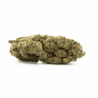 Hempodia 10-OH-HHC Blüten 2g Northern Lights