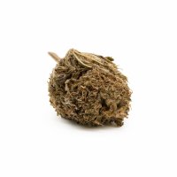 H4 Superior Blüten 2g Lavanda