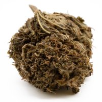 H4 Superior Blüten 2g Lavanda