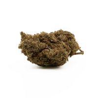 Hempodia H4 Superior Blüten 2g Northern Lights V2