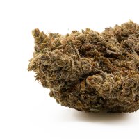 Hempodia H4 Superior Blüten 2g Northern Lights V2