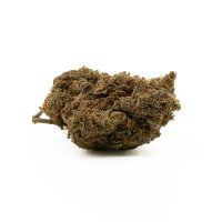 Hempodia H4 Superior Blüten 2g Northern Lights V2