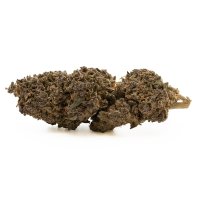 H4 Superior Blüten 2g BZ Queen V2