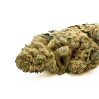 CBD/CBG Blüten 2g Green Passion